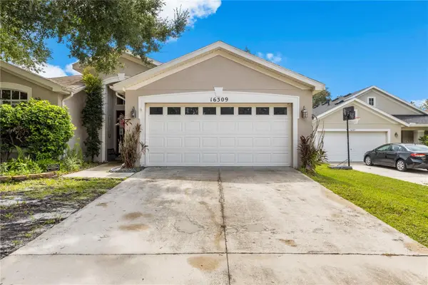 16309 Bridgeglade Lane, LITHIA, FL 33547