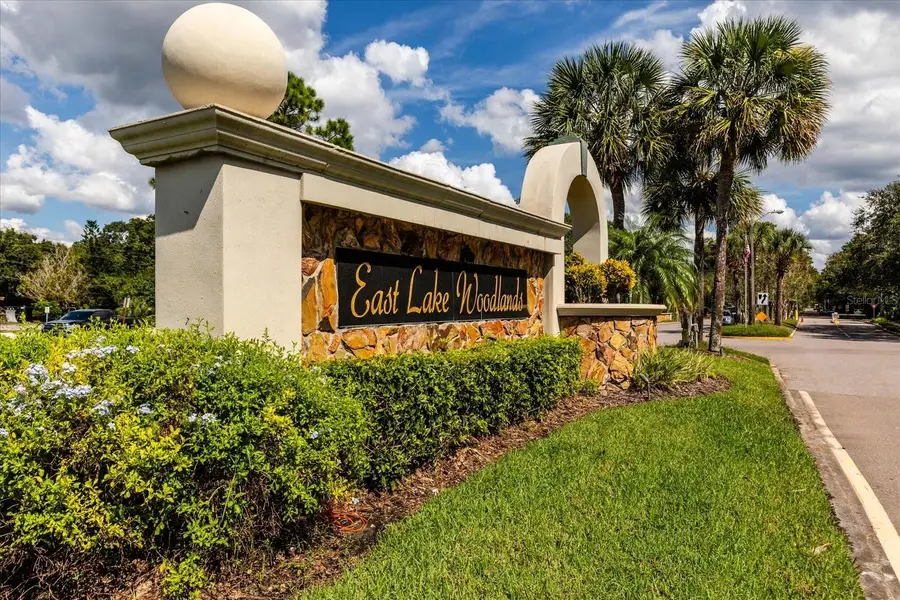 1723 Captiva Drive, Oldsmar, FL 34677 - #3