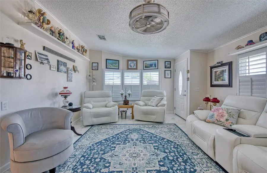 214 Dolphin Drive N, Oldsmar, FL 34677 - #3