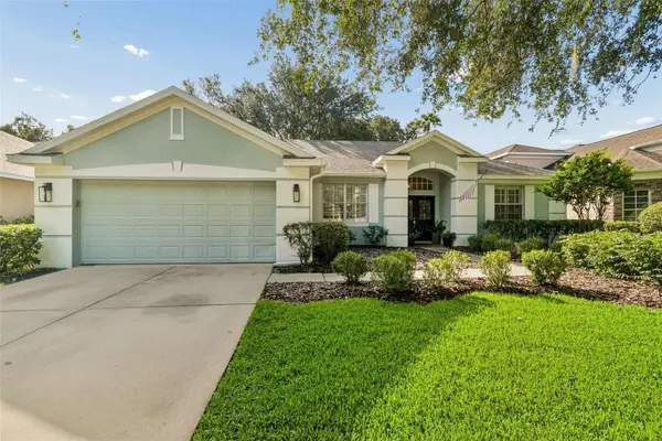 3618 Cordgrass Drive, VALRICO, FL 33596