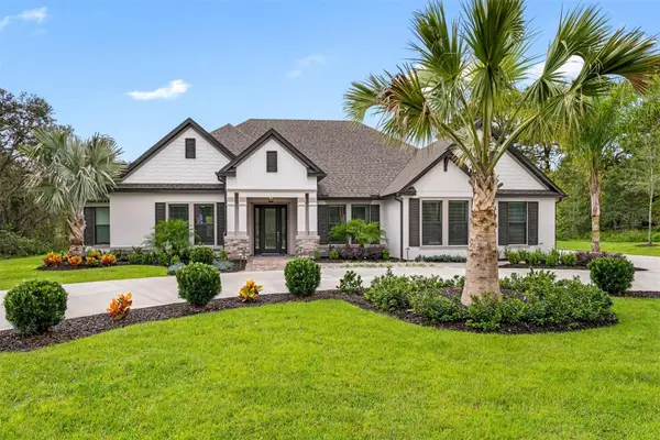 13055 Oldenburg Drive, HUDSON, FL 34667