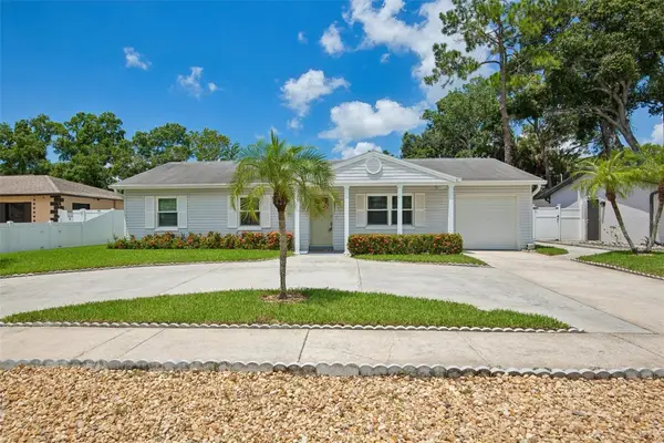 6424 Eldorado Drive, TAMPA, FL 33615