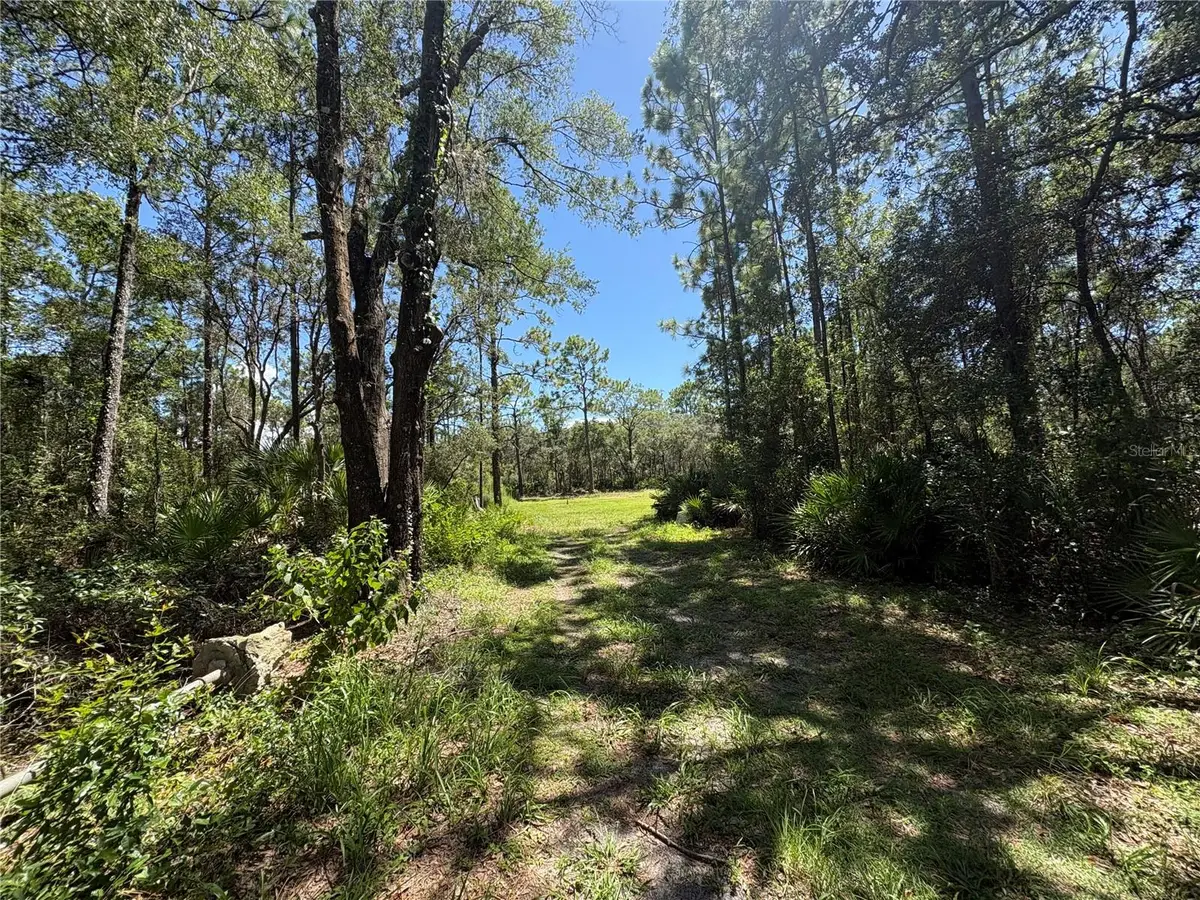 394 N Florene Point, Crystal River, FL 34429 - #1