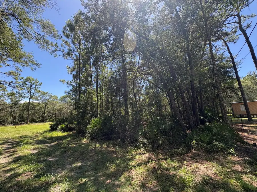 394 N Florene Point, Crystal River, FL 34429 - #2