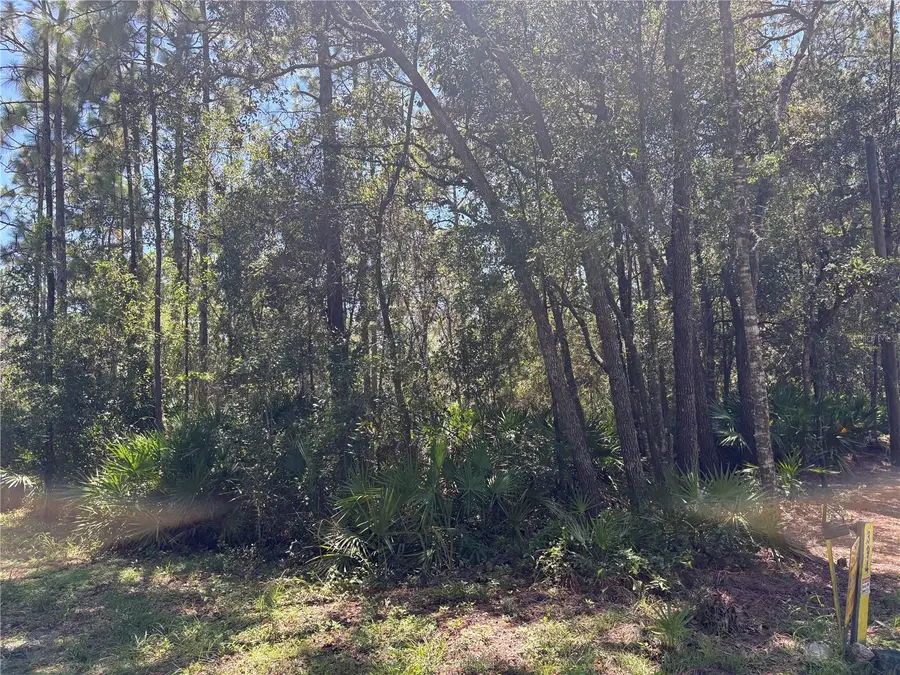 394 N Florene Point, Crystal River, FL 34429 - #3