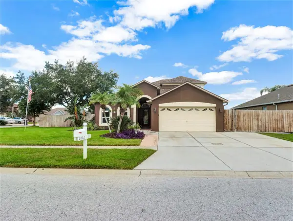 2002 Rain Dance Place, BRANDON, FL 33510