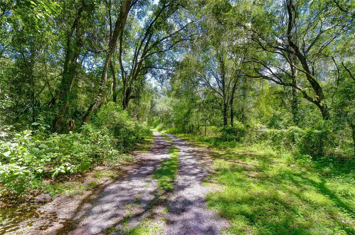 3801 Pate Road, Zephyrhills, FL 33541 - #1