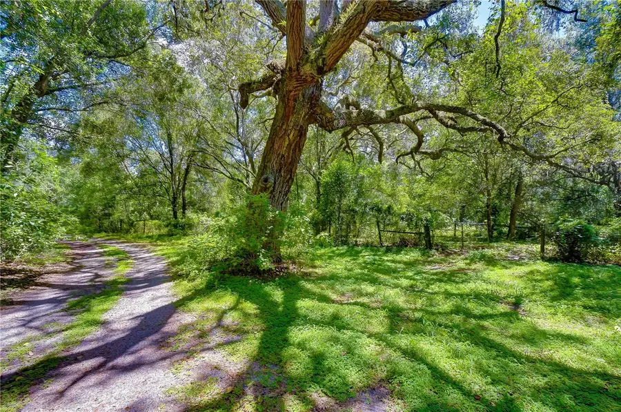 3801 Pate Road, Zephyrhills, FL 33541 - #2