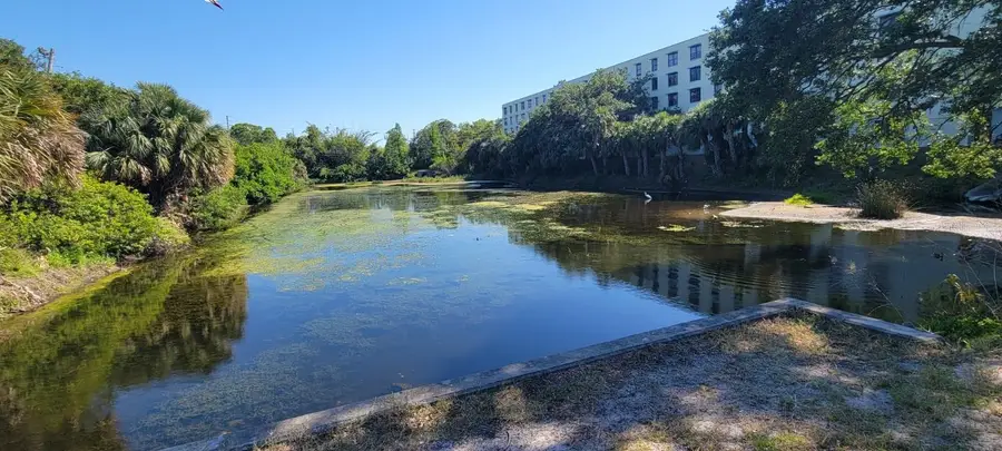 701 S Madison Avenue #316, Clearwater, FL 33756 - #2