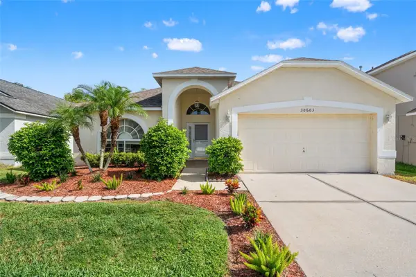 30603 Tremont Drive, WESLEY CHAPEL, FL 33543