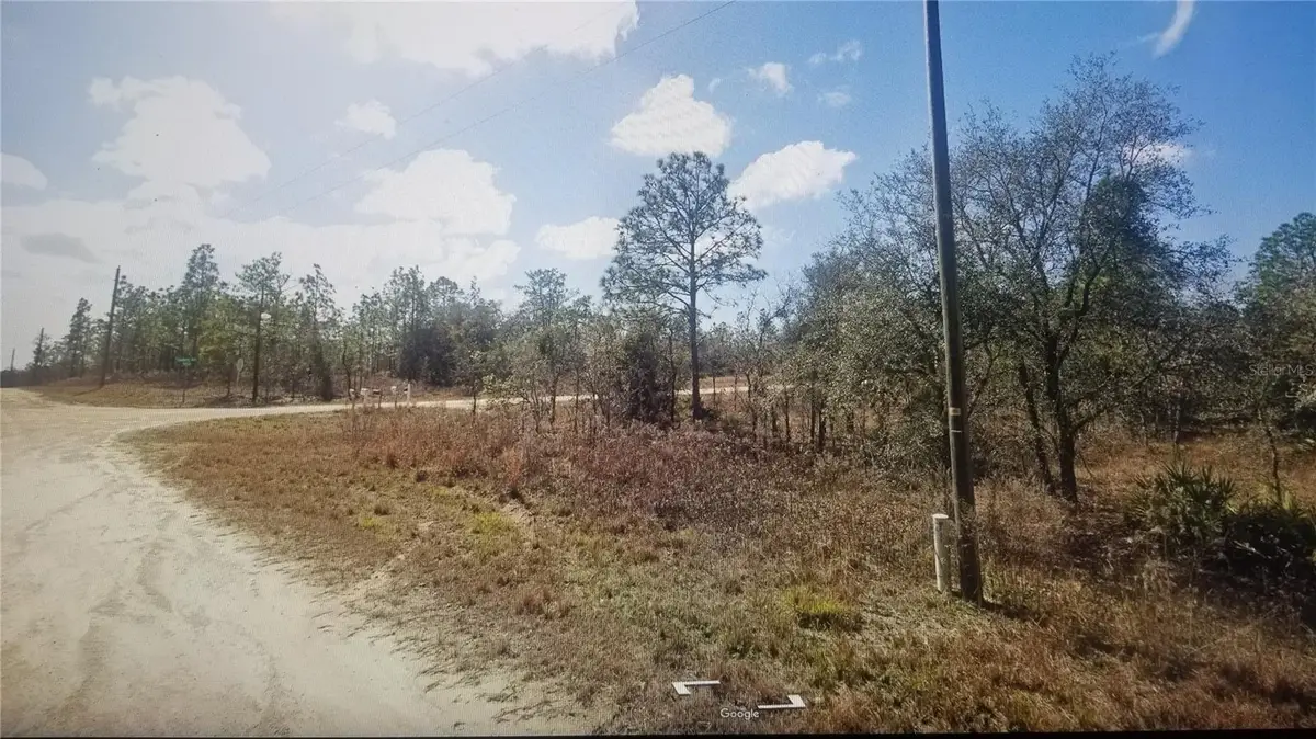 Tinamou Avenue, Weeki Wachee, FL 34614 - #1