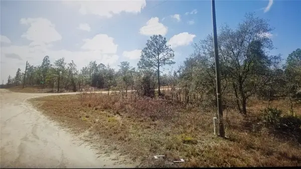 Tinamou Avenue, WEEKI WACHEE, FL 34614