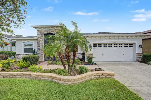 29358 Grass Bunker Drive, SAN ANTONIO, FL 33576
