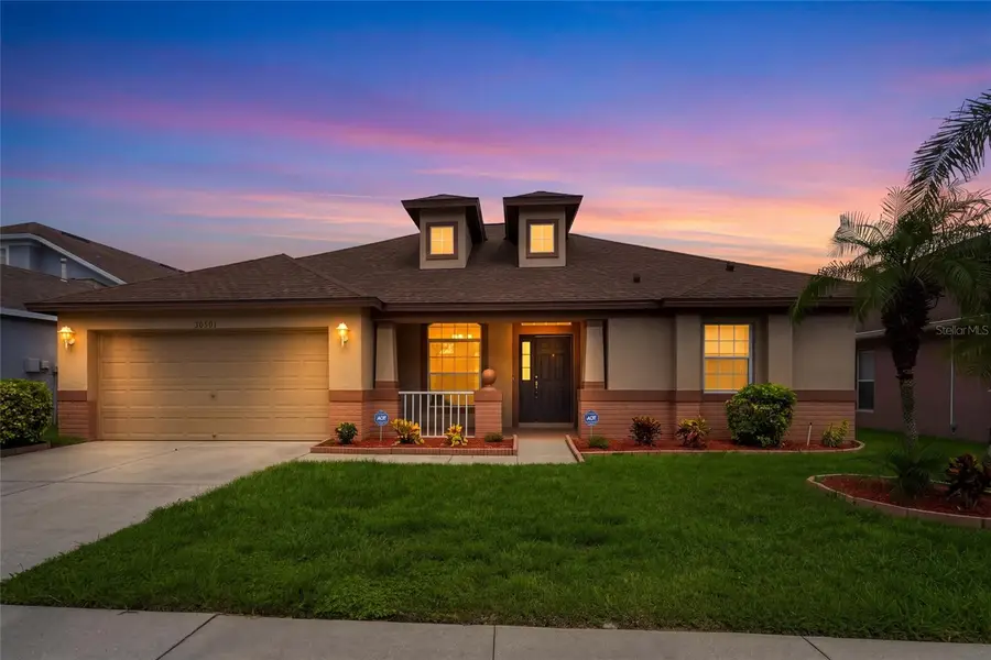 30501 Iverson Drive, Wesley Chapel, FL 33543 - #3