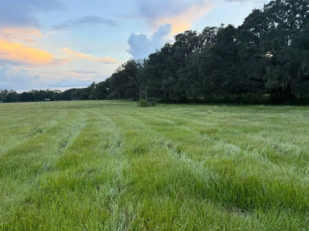 27900 Bayhead Road, Dade City, FL 33523 - #1