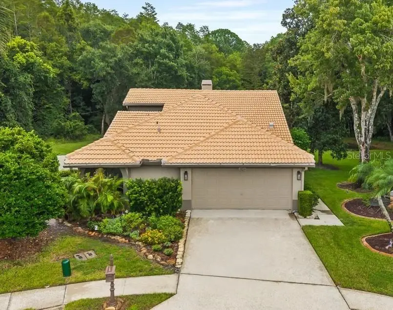 3600 Darston Street, Palm Harbor, FL 34685 - #1