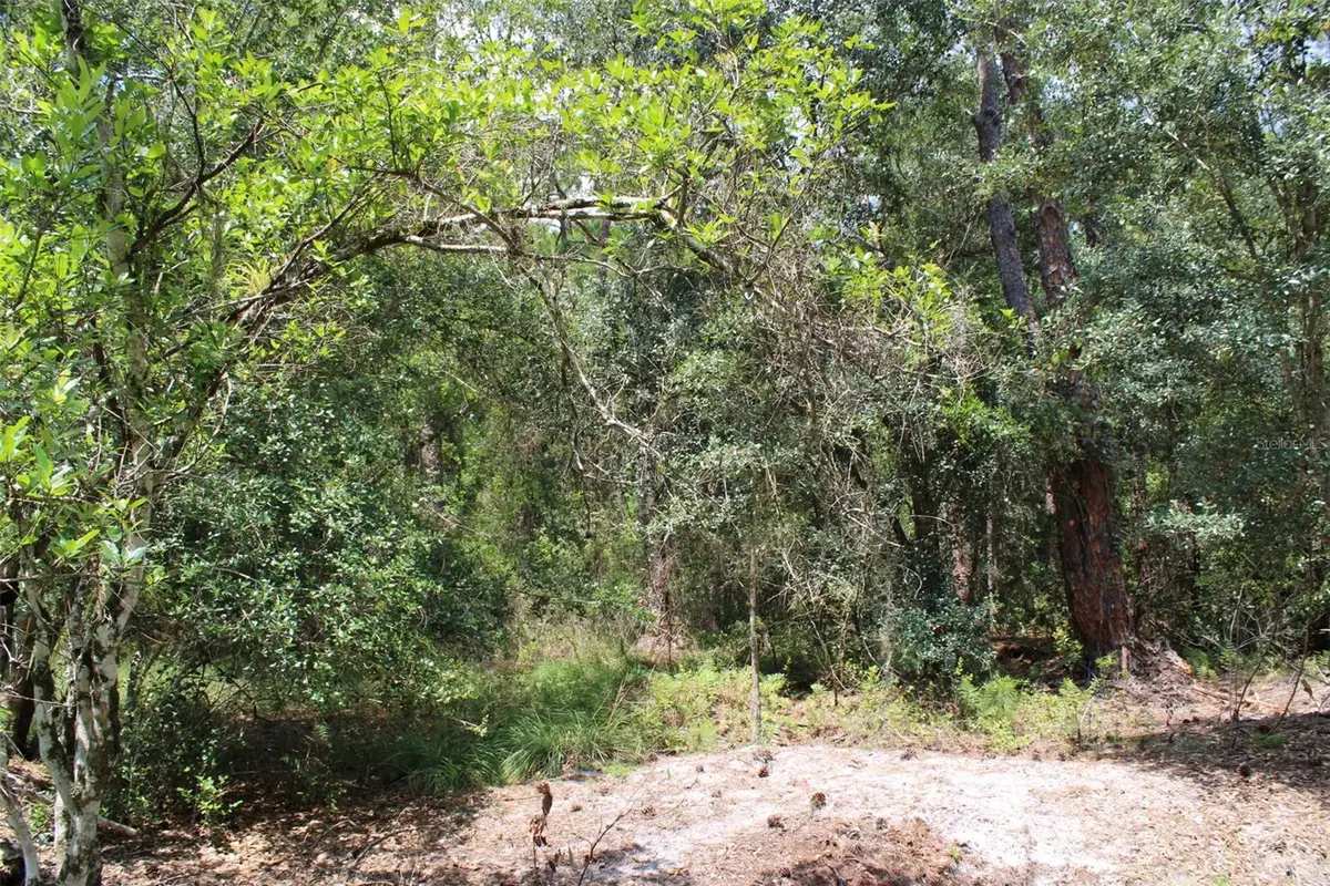 1217 Iris Avenue, Sebring, FL 33875 - #1