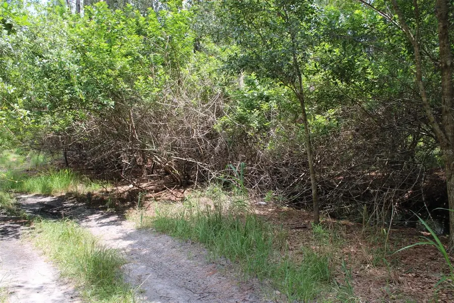 1217 Iris Avenue, Sebring, FL 33875 - #2