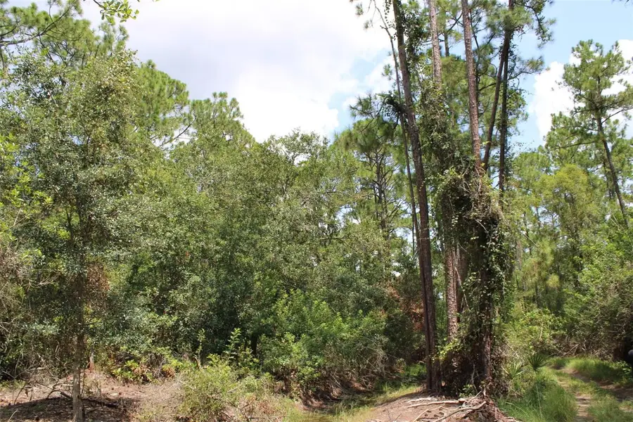 1217 Iris Avenue, Sebring, FL 33875 - #3