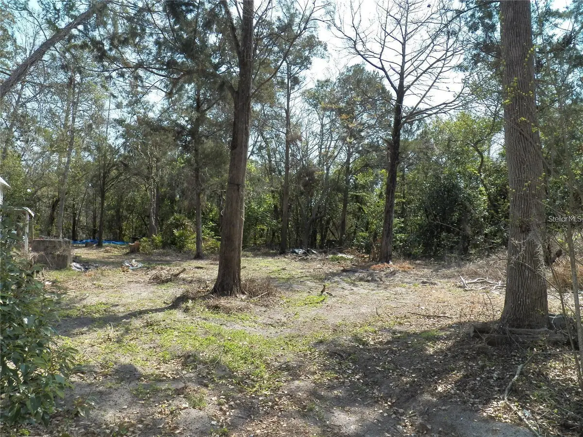 15730 Gifford Lane, Spring Hill, FL 34610 - #1