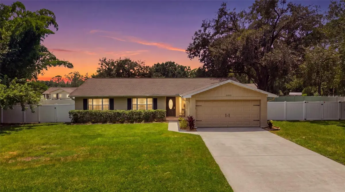 23252 Charlston Place, Land O Lakes, FL 34639 - #1