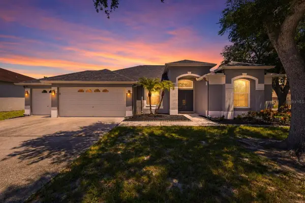 12020 Running Fox Circle, RIVERVIEW, FL 33569