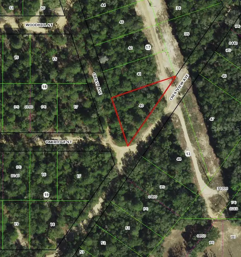 112 S Crestview Avenue, Inverness, FL 34452 - #2