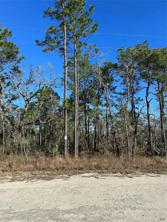 11107 Seattle Wren Avenue, Weeki Wachee, FL 34614 - #1