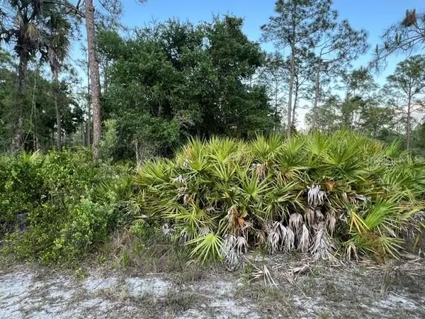 13352 Rodin Drive, PUNTA GORDA, FL 33955