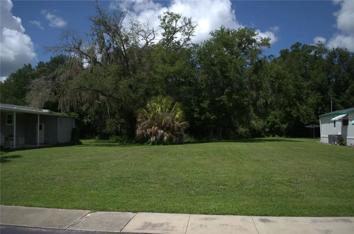 Muller Road, Zephyrhills, FL 33540 - #1