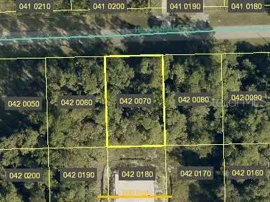 3845 Hillandale Street, Fort Myers, FL 33905 - #1