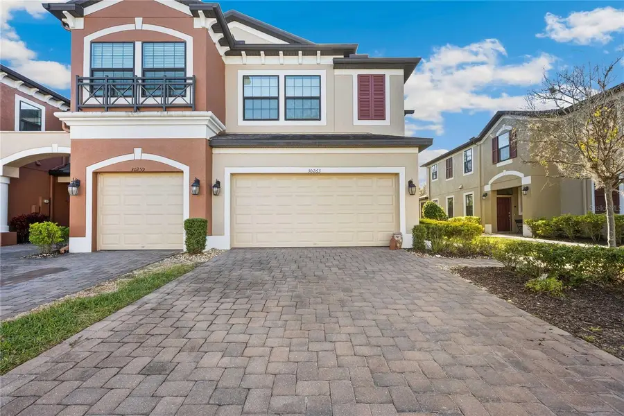 30263 Southwell Lane, Wesley Chapel, FL 33543 - #2