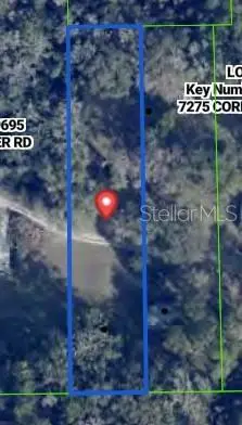 7289 Cornflower Road, Brooksville, FL 34601 - #2