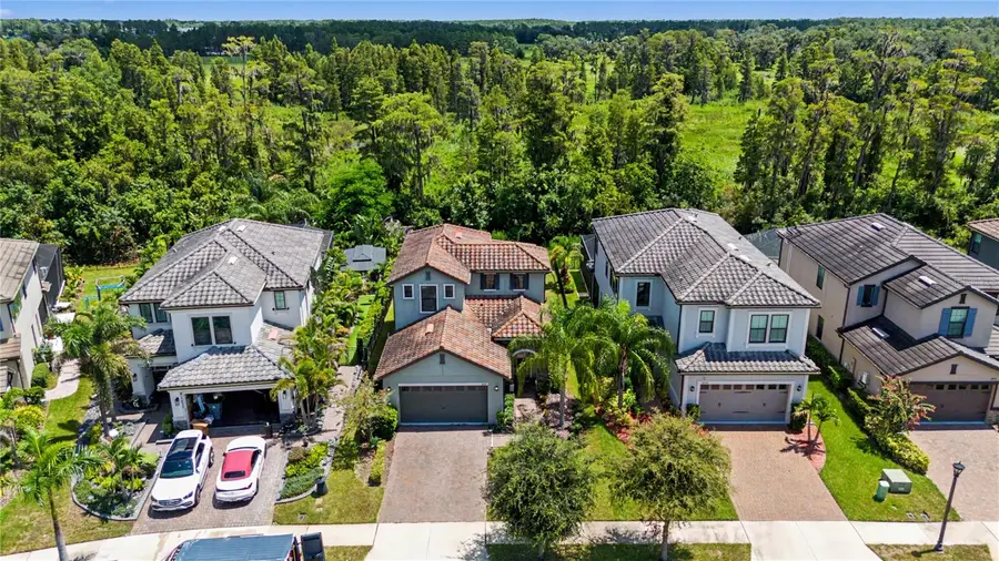 19539 Roseate Drive, Lutz, FL 33558 - #3
