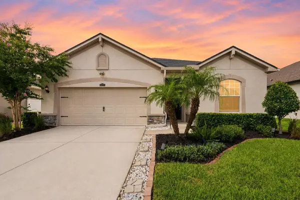 12943 Satin Lily Drive, RIVERVIEW, FL 33579