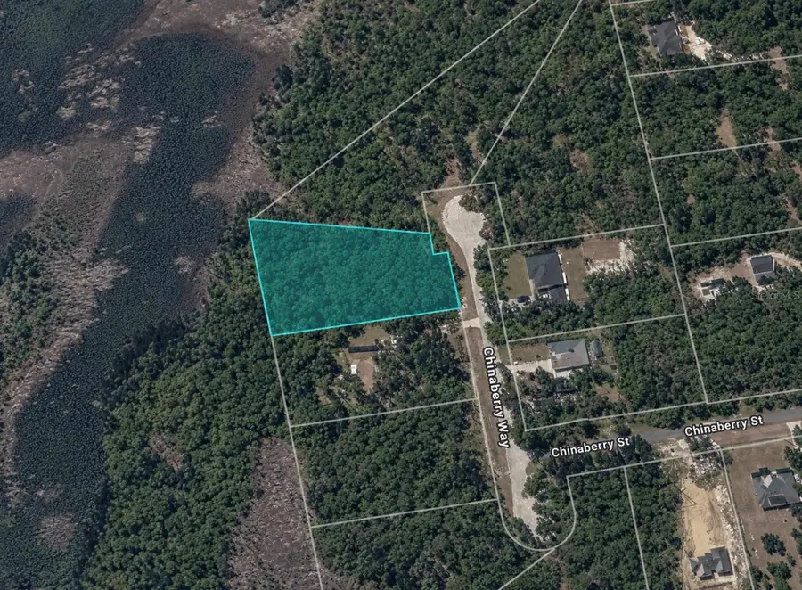 Chinaberry Way, Eustis, FL 32736 - #2