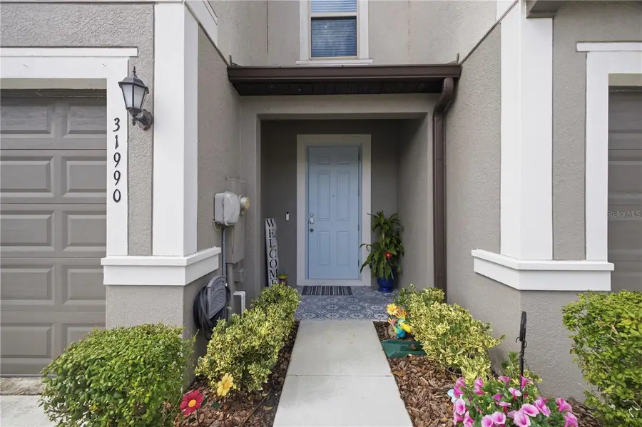 31990 Blue Passing, Wesley Chapel, FL 33545 - #3