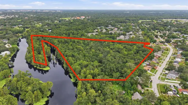 0 Allview Drive, TAMPA, FL 33637