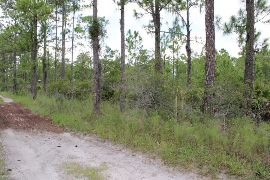 1714 Oleaster Avenue, Sebring, FL 33875 - #2