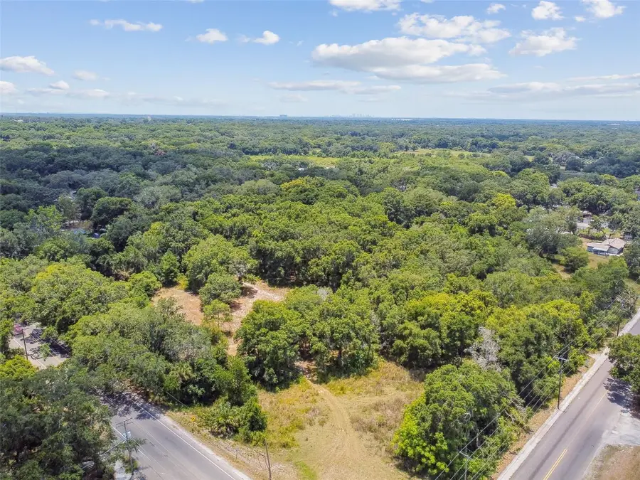 10413 Main Street, Thonotosassa, FL 33592 - #2