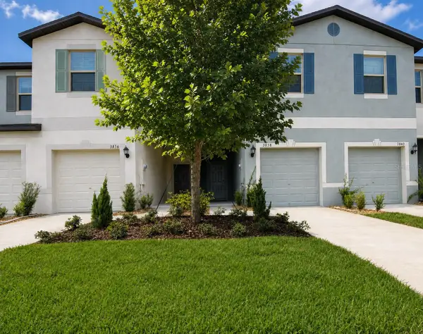 3838 Cat Mint Street, TAMPA, FL 33619