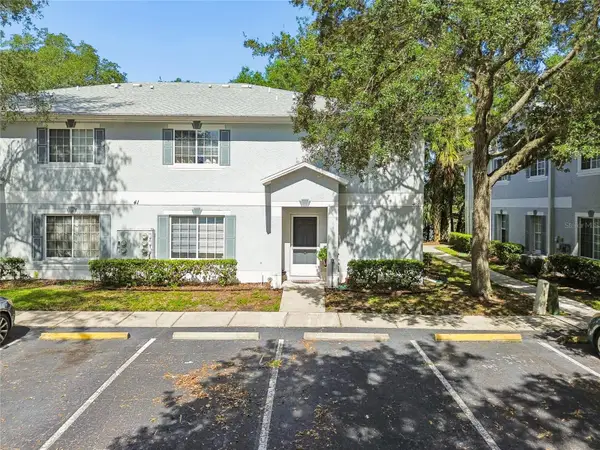 4009 Dolphin Drive, TAMPA, FL 33617