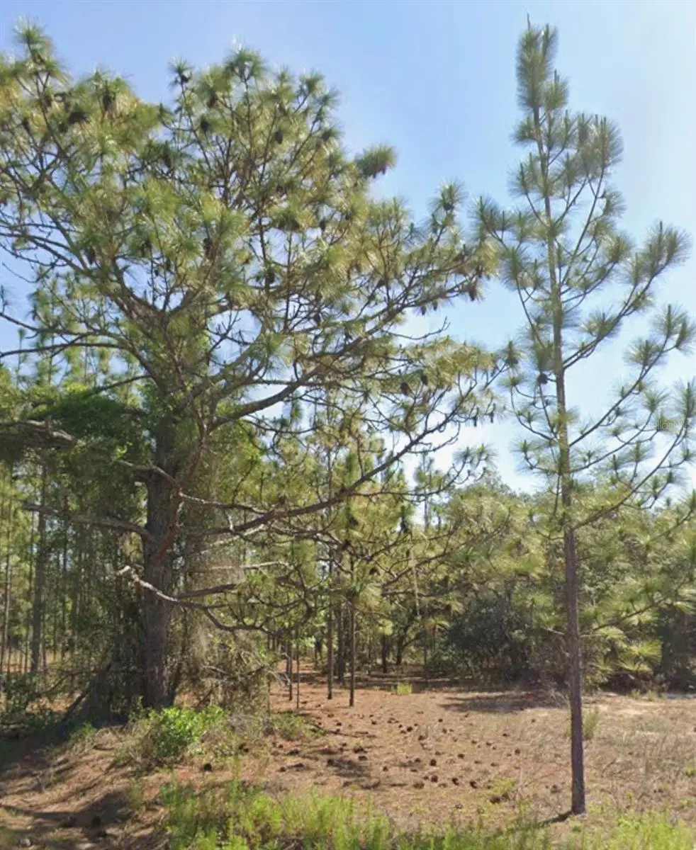 TBD SW Floral Court, Dunnellon, FL 34431 - #1