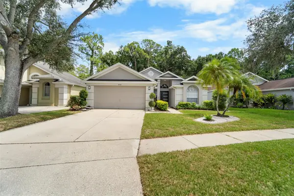 9720 Fredericksburg Road, TAMPA, FL 33635