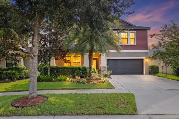 14242 Blue Dasher Drive, RIVERVIEW, FL 33569