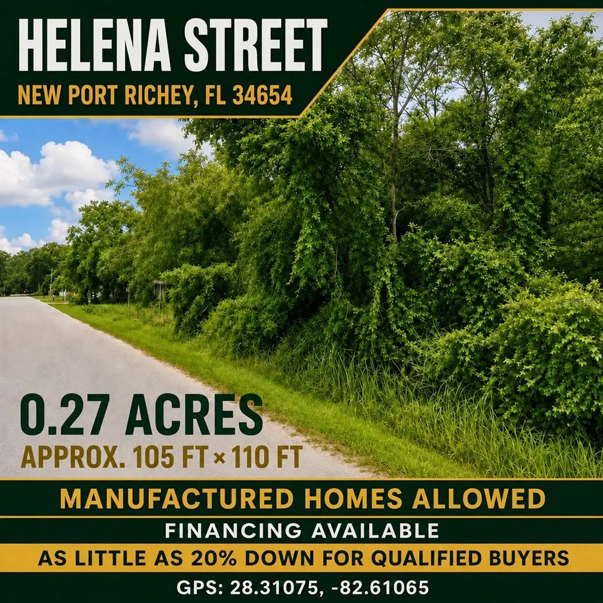 Helena Street, New Port Richey, FL 34654 - #1