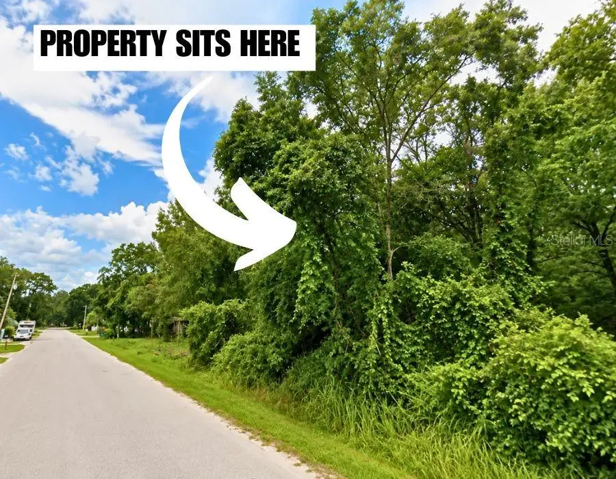 Helena Street, New Port Richey, FL 34654 - #3