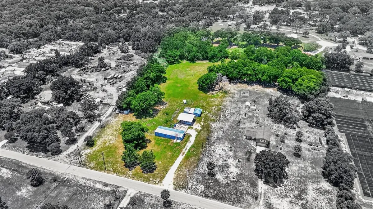 4162 Laughlin Road, Mount Dora, FL 32757 - #1