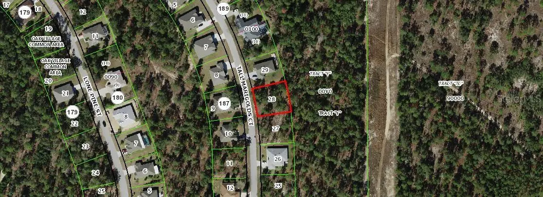 20 Tall Marigolds, Homosassa, FL 34448 - #1