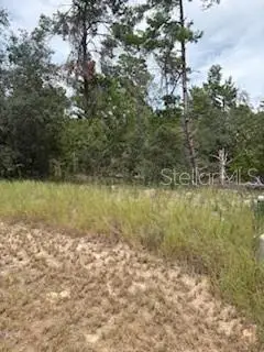 20 Tall Marigolds, Homosassa, FL 34448 - #2